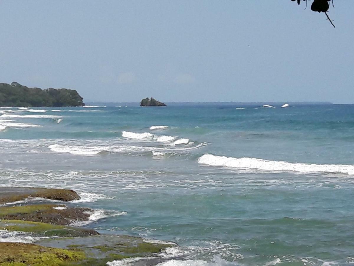 Hotel Casa Conley Del Mar Puerto Viejo de Talamanca Экстерьер фото