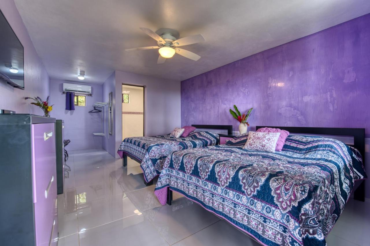Hotel Casa Conley Del Mar Puerto Viejo de Talamanca Экстерьер фото