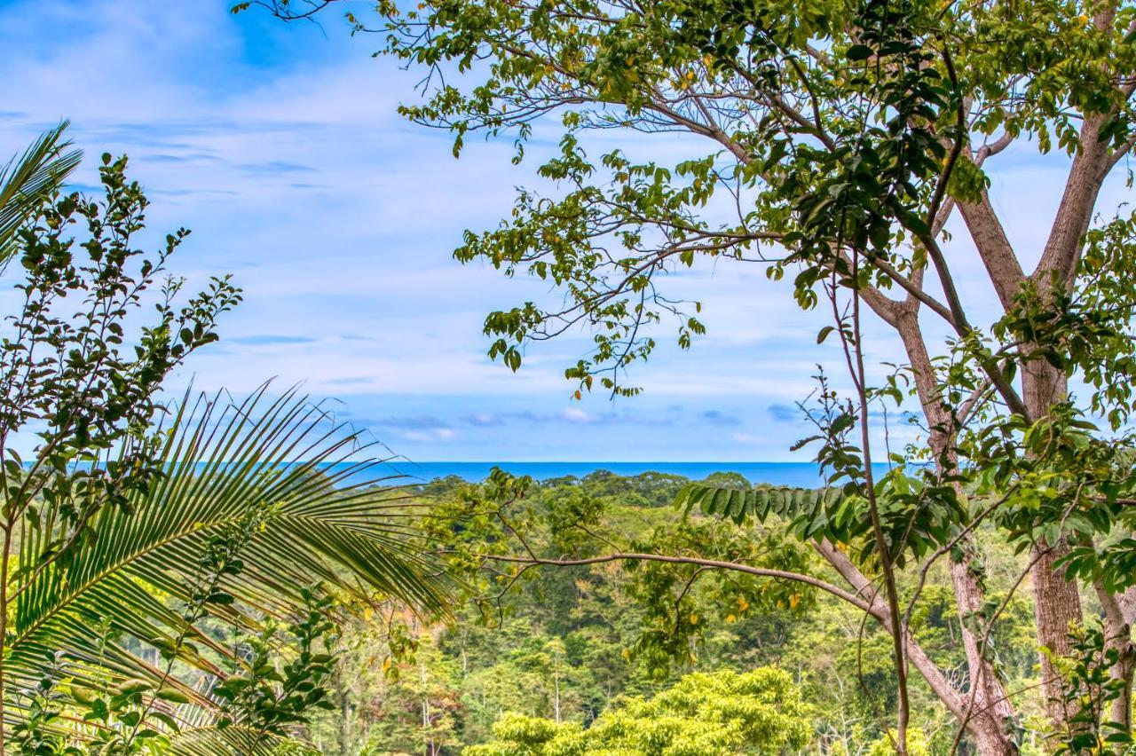 Hotel Casa Conley Del Mar Puerto Viejo de Talamanca Экстерьер фото