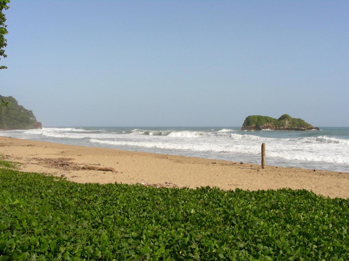 Hotel Casa Conley Del Mar Puerto Viejo de Talamanca Экстерьер фото